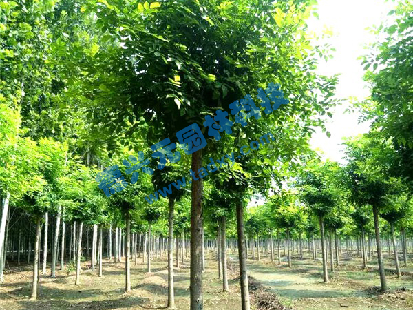 �c(di��n)���鿴Ԕ��(x��)��Ϣ��(bi��o)�}����Ϟ ��x�Δ�(sh��)��2349