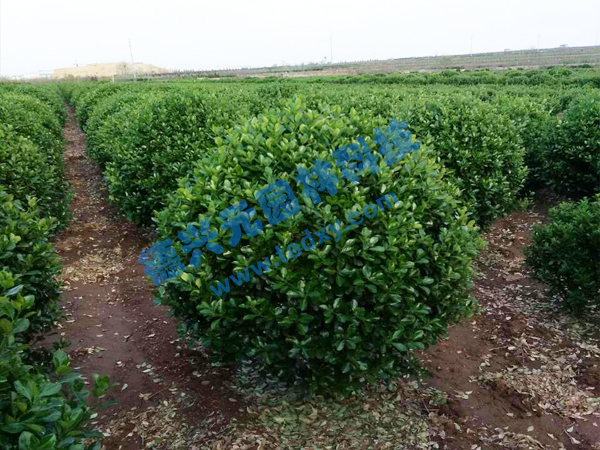 �c(di��n)���鿴Ԕ��(x��)��Ϣ��(bi��o)�}�����~�S���� ��x�Δ�(sh��)��2474