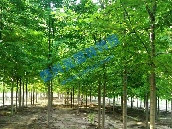 �c(di��n)���鿴Ԕ��(x��)��Ϣ��(bi��o)�}������(gu��)�t�� ��x�Δ�(sh��)��2000