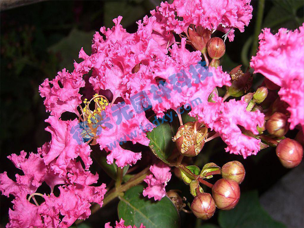 �c���鿴Ԕ����Ϣ��(bi��o)�}����ޱ ��x�Δ�(sh��)��1794