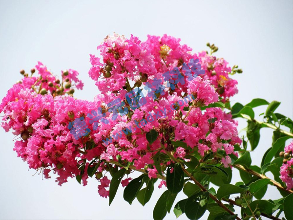 �c���鿴Ԕ����Ϣ���}����ޱ ��x�Δ���1892